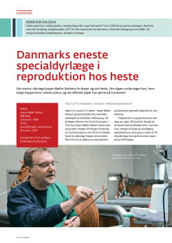 Danmarks eneste specialdyrlæge i reproduktion hos heste