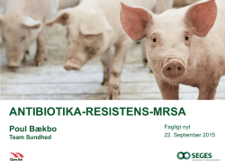 MRSA og antibiotika