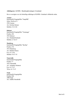 PDF-fil