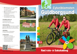Guldborgsund - cykelblomsten