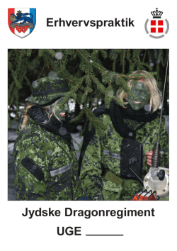 Jydske Dragonregiment UGE Erhvervspraktik