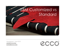 Nyt ITSM-værktøj - standard eller tilpasning?