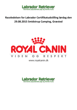 Raceledelsen for Labrador Certifikatudstilling lørdag den 29.08