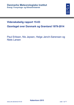 Læs rapporten/Read the Report