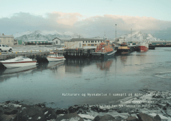 Kulturarv og Nyskabelse i samspil på Höfn, Island