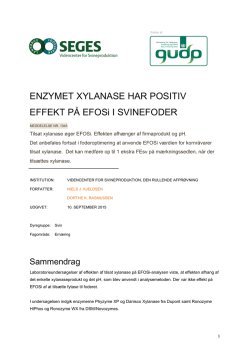 Enzymet xylanase har positiv effekt på EFOSi i svinefoder