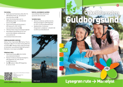 Guldborgsund - cykelblomsten