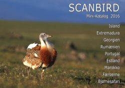 Katalog - Scanbird