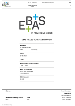 EBAS - TILLÆG TIL TILSTANDSRAPPORT