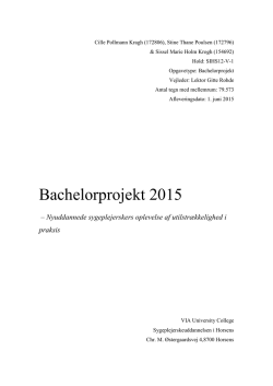 Bachelorprojekt 2015