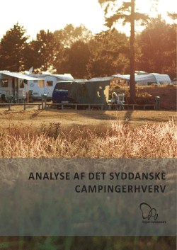 Analyse af campingerhvervet i Region