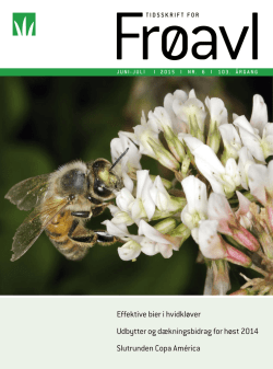 Effektive bier i hvidkløver Udbytter og - DLF
