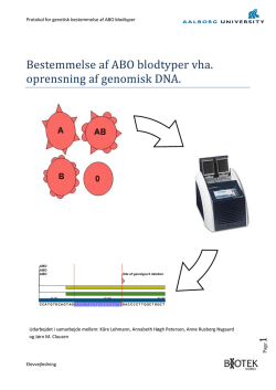 Protokol for genetisk bestemmelse af ABO blodtyper