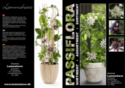 Passiflora_2015-web - Gartneriet Lammehave