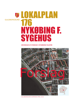 LOKALPLAN 176 NYKØBING F. SYGEHUS