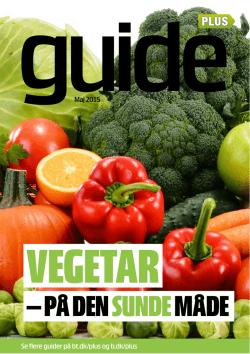 Guide: Vegetar på den sunde måde