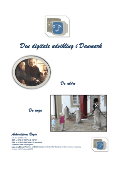 Den digitale udvikling i Danmark