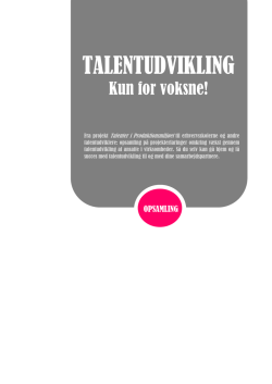 Rapport – Talentudvikling - Dansk Produktions Univers