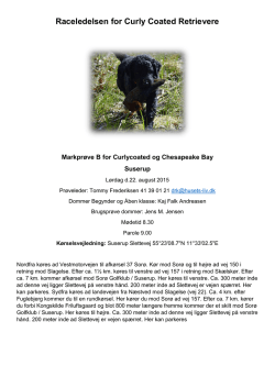 Raceledelsen for Curly Coated Retrievere