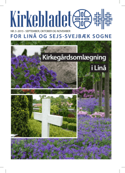 Kirkeblad2015 03 - Linå og Sejs