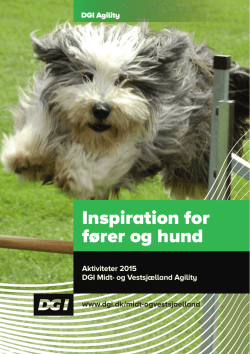 Inspiration for fører og hund