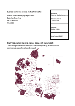 Entrepreneurship in rural areas of Denmark
