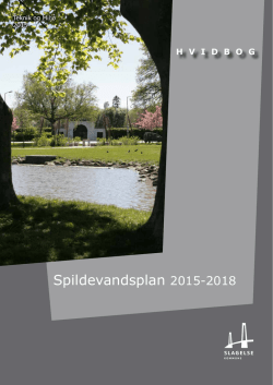 Se hvidbog - Slagelse Kommune