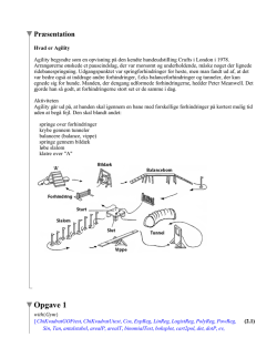 Mat B Eksamensprojekt 2013 (Maple) PDF – Agility