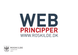 Roskilde webprincipper pjece