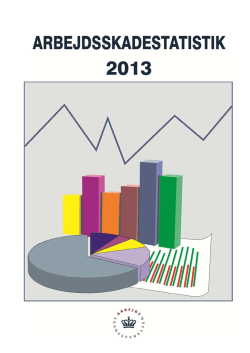 Arbejdsskadestatistik 2013