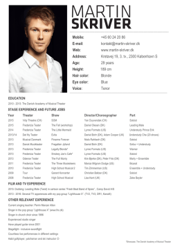 English CV - Martin Skriver