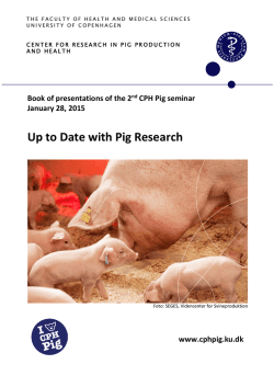 Up to Date with Pig Research