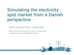 Simulating the electricity spot market from a Danish