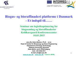 Biogas- og bioraffinaderi platforme i Danmark