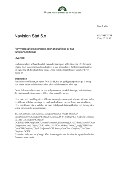 Navision Stat 5.x - Moderniseringsstyrelsen