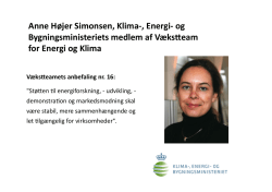 Anne Højer Simonsen, Klima-‐, Energi