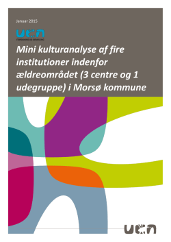 Kulturanalyse af fire ældreinstitutioner i Morsø kommune