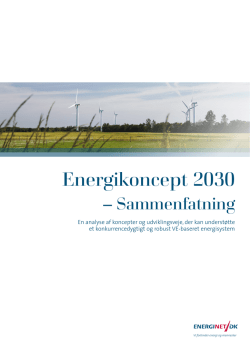 Energikoncept 2030 - Sammenfatning