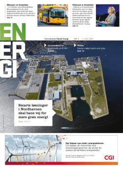 Nyhedsbladet Dansk Energi Nr. 3