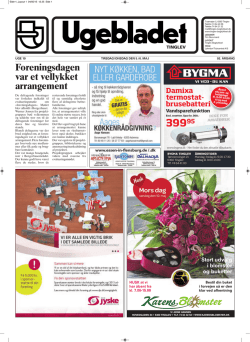 Foreningsdagen var et vellykket arrangement