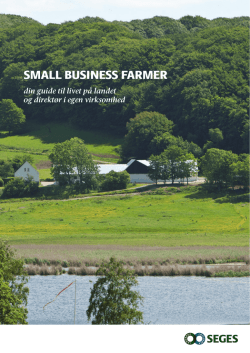 SMALL BUSINESS FARMER - Projekter