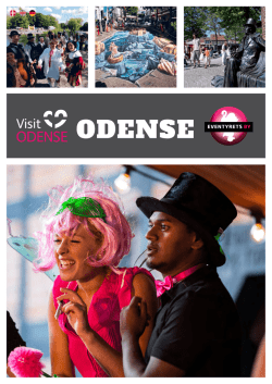 ODENSE - Ferieideen.dk