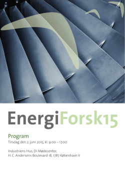 program - Energinet.dk