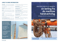 Guide til at ansætte en lærling inden for de maritime håndværksfag