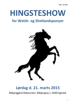 Katalog - Welsh Pony & Cob Avlen i Danmark