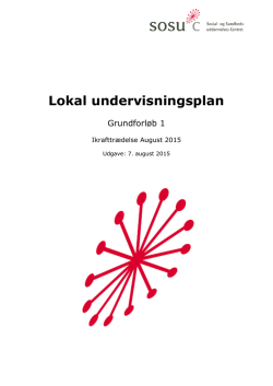 Lokal undervisningsplan