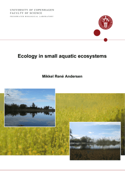 Ecology in small aquatic ecosystems