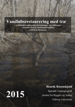 Vandløbsrestaurering med træ