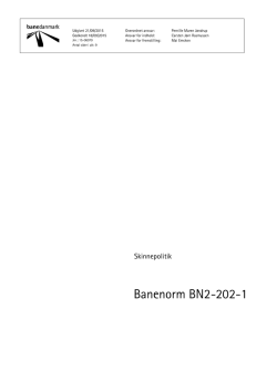 Banenorm BN2-202-1