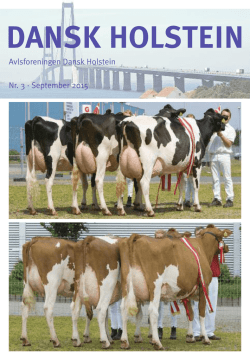 Nr. 3 august - Dansk Holstein